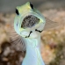 jawfish_yellowhead_bs_lc_v_0273_cay0812.jpg